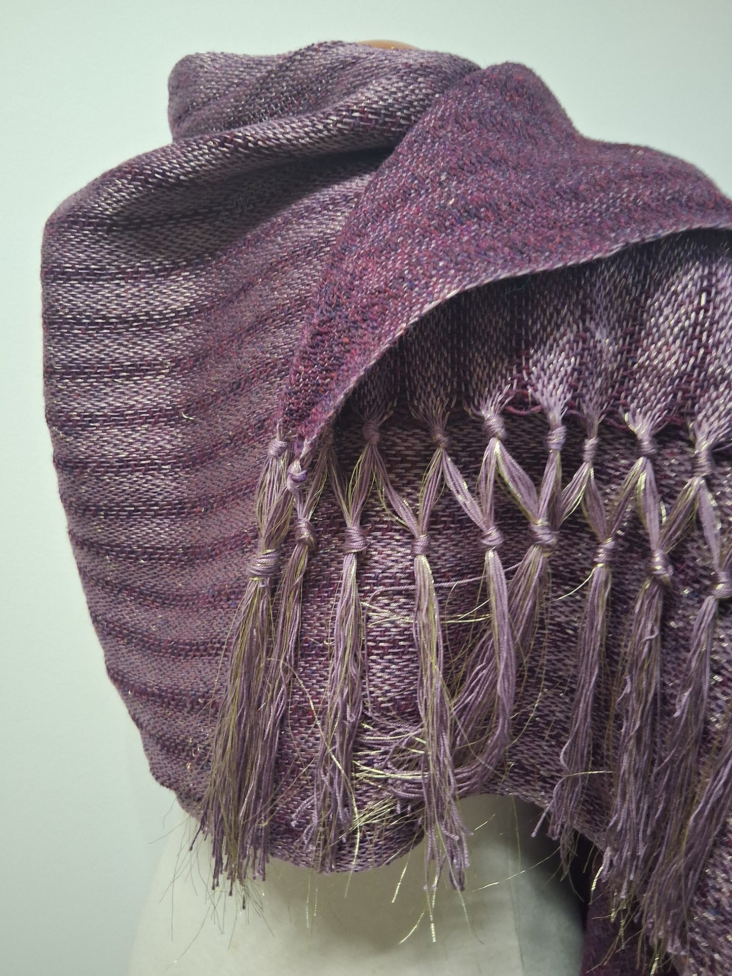 Donegal Golden Mulberry Rose