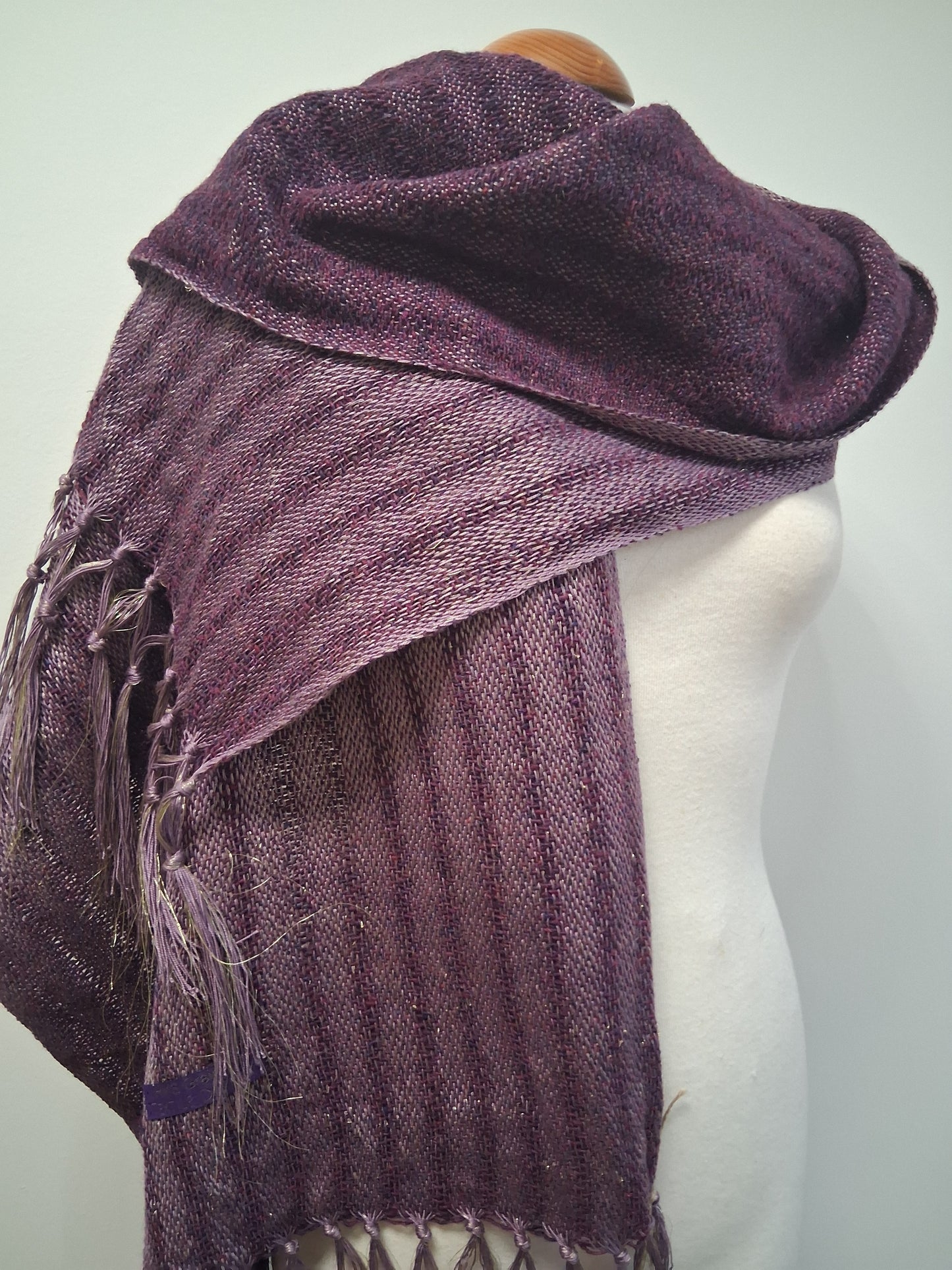 Donegal Golden Mulberry Rose