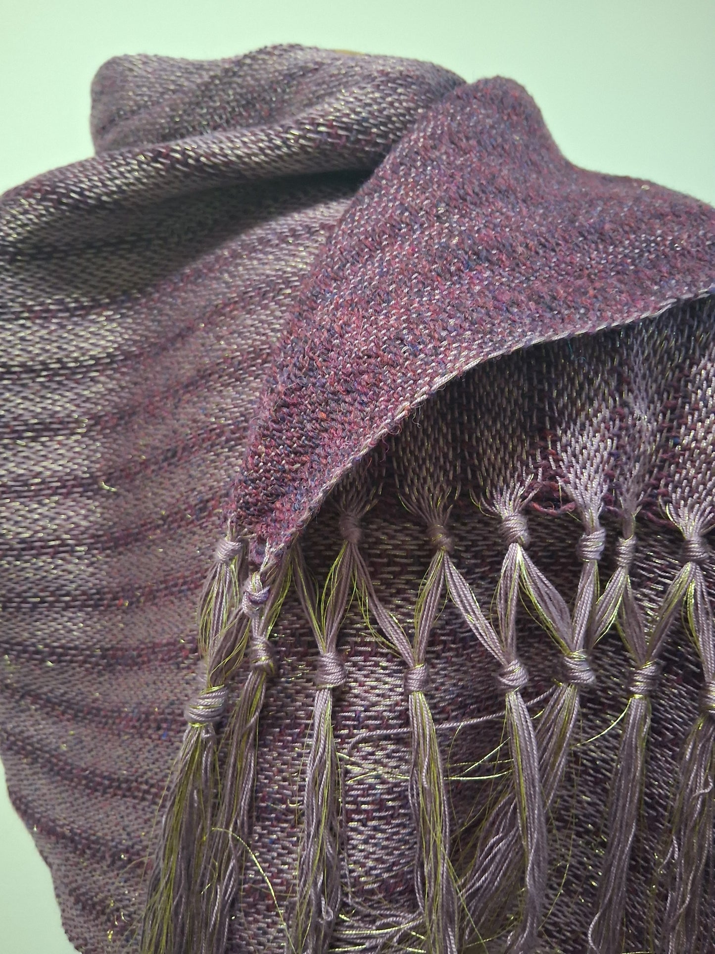 Donegal Golden Mulberry Rose